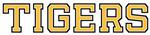 T Logo 