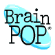 brain 
