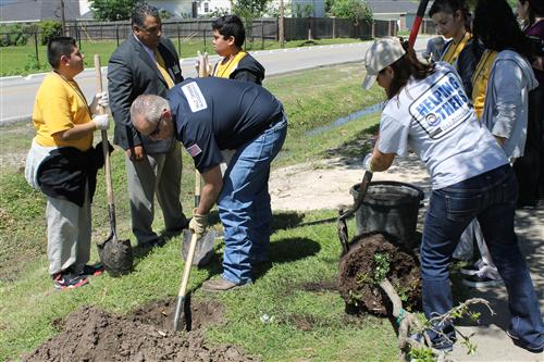 Several volunteers work together to plant a tree.