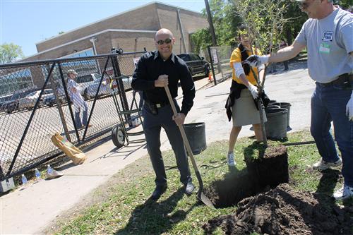 Mr. Knittle planting a tree.
