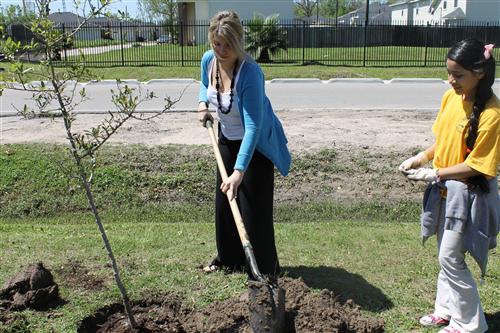Ms. Ferrell planting a tree.