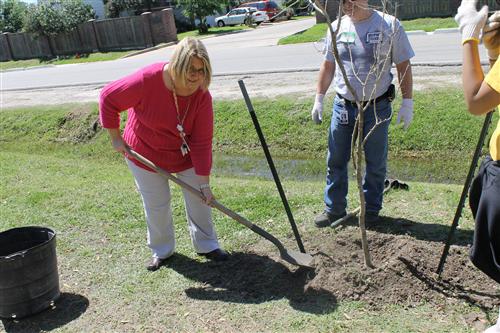 Ms. Howell finishing planting her tree.