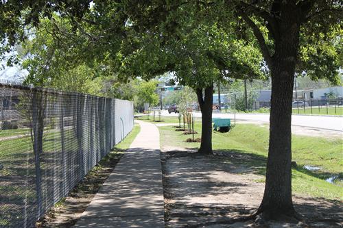 A view of the trees lining the sidewalk. 
