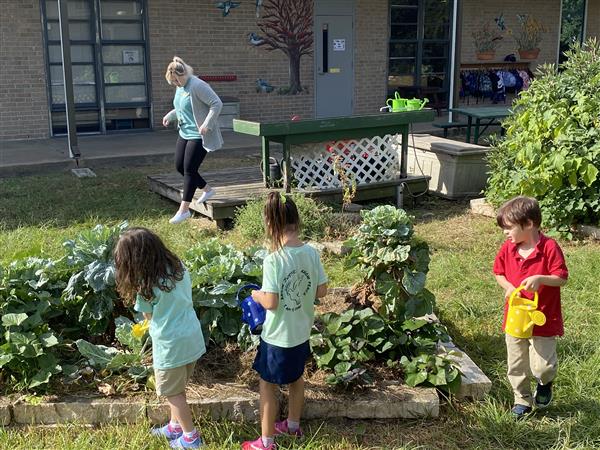 Students participate in Urban Harvest to learn about gardening.