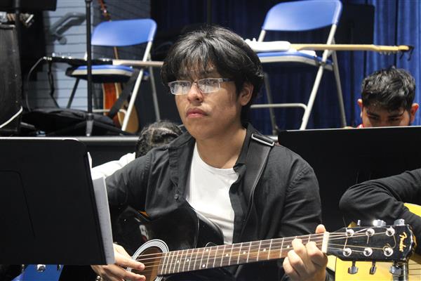 Guitar