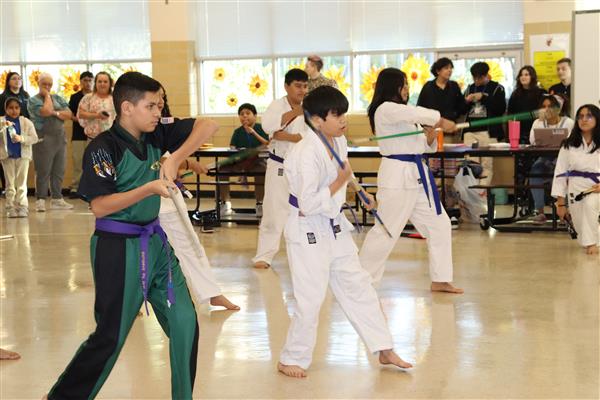 Karate 14