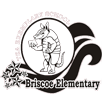 Briscoe Elementary